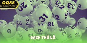 Bạch Thủ Lô