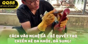Cách Vào Nghệ Gà