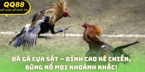 Đá Gà Cựa Sắt