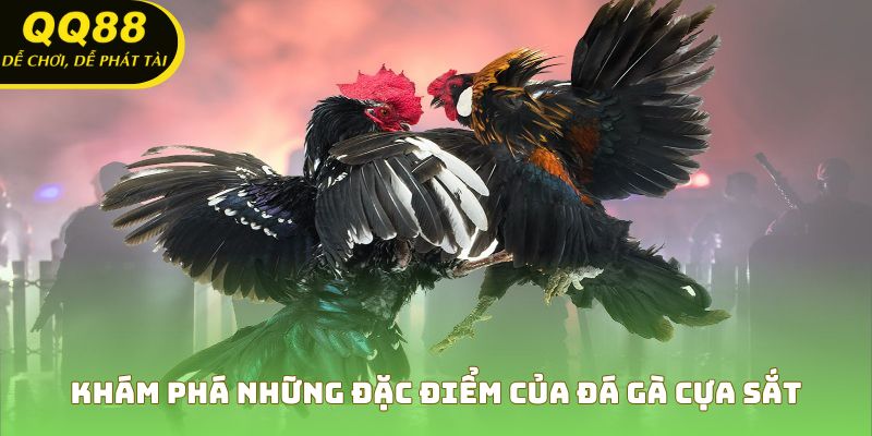 Những nét đặc trưng nổi bật của đá gà cựa sắt